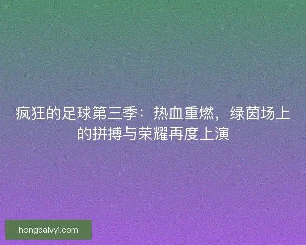 疯狂的足球第三季：热血重燃，绿茵场上的拼搏与荣耀再度上演